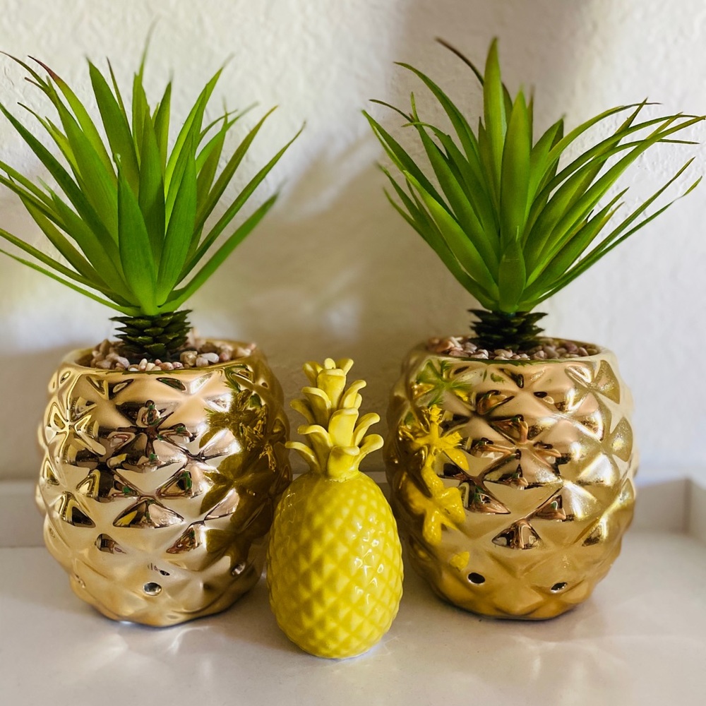 Pineapple plant decor